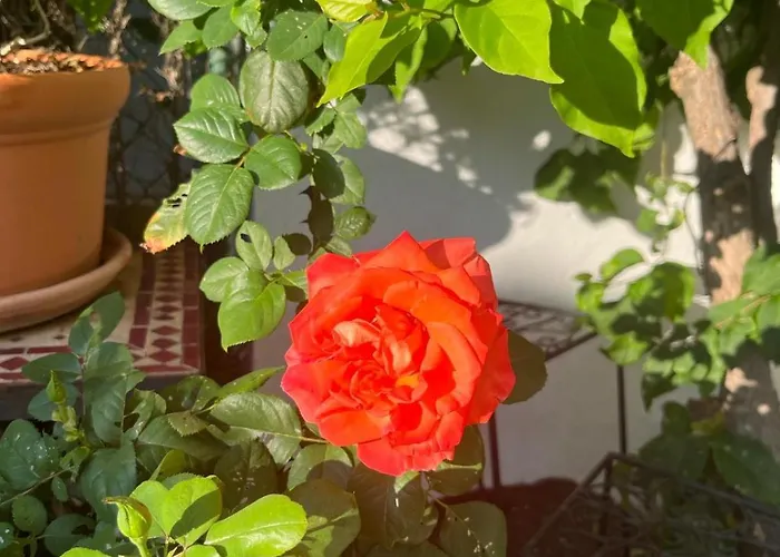 Hébergement de vacances Casa ' Izzy ' *